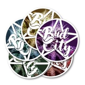 Dispensary Promotions